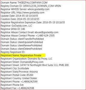 domain namecapture1